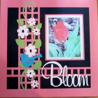 &quot;Bloom&quot;