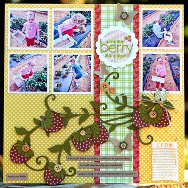 ***BERRY PICKIN&#039;*** FRONT PORCH KITS
