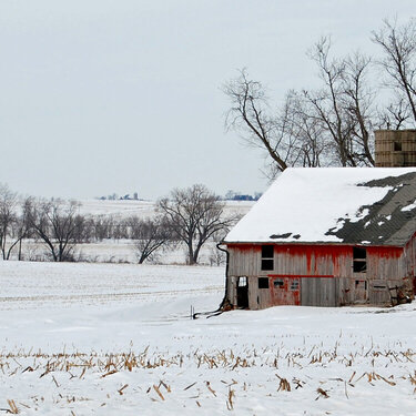 January 5th Photo