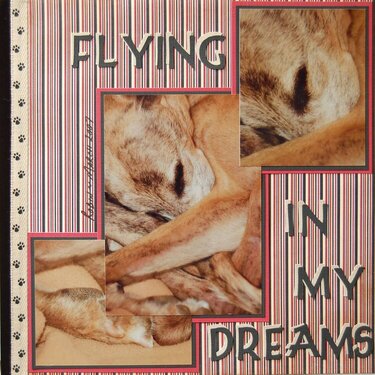 Flying In My Dreams