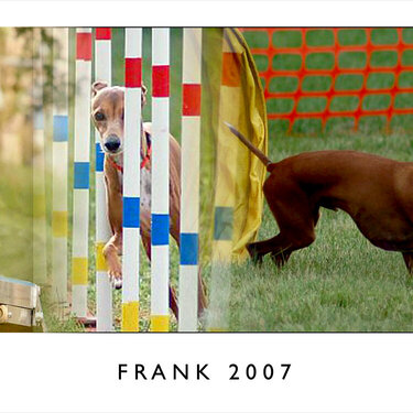 Frank 2007