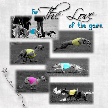 Love of the Game