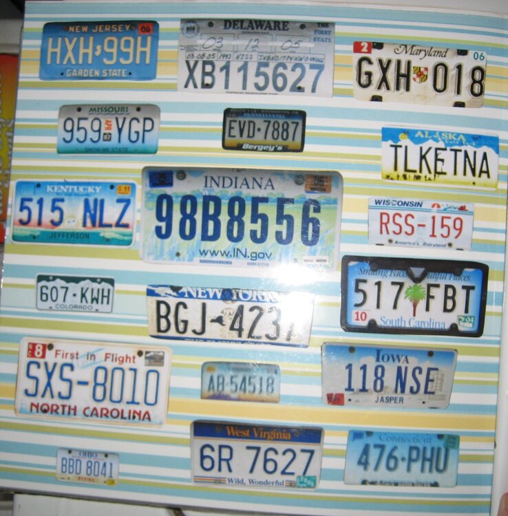 License Plates1