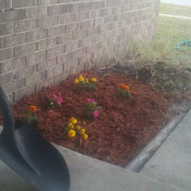 part of flower bed 2