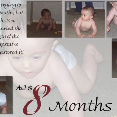 AJ @ 8 Months