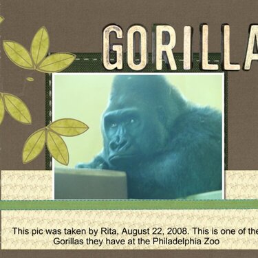 Gorilla