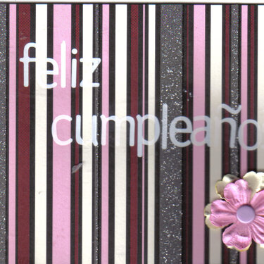 Feliz Cumpleanos (happy birthday in spanish)