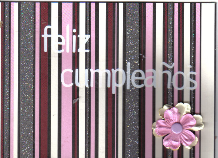 Feliz Cumpleanos (happy birthday in spanish)