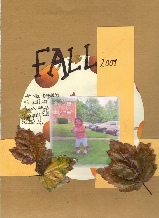 Fall 2007 ( 175/ 300)