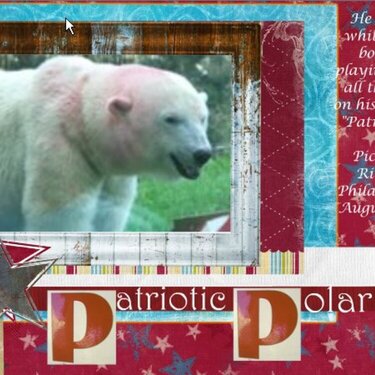 Patriotic Polar Bear