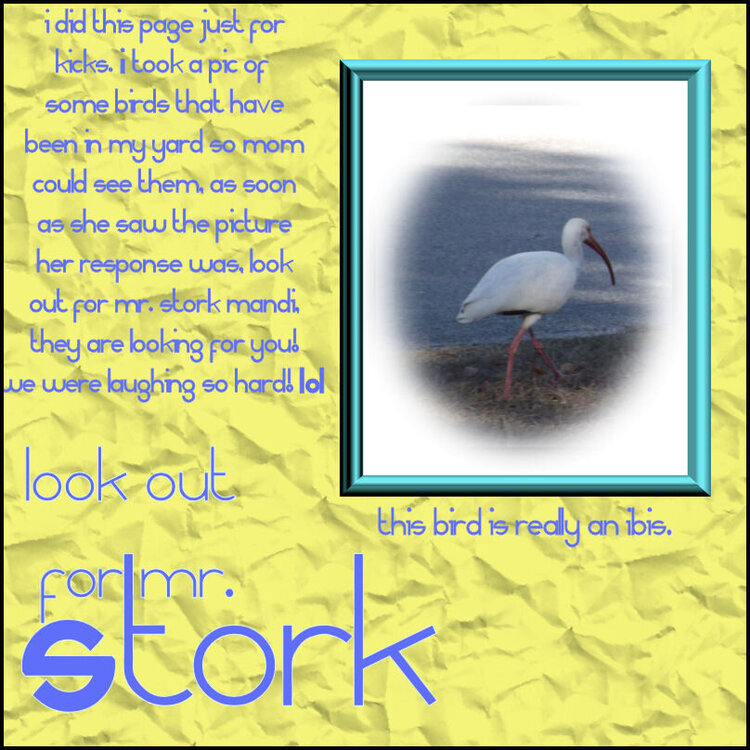 Look Out for Mr. Stork
