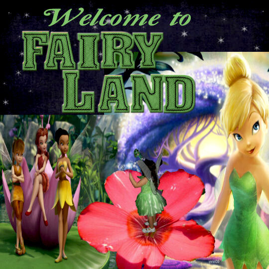 Welcome to Fairly Land
