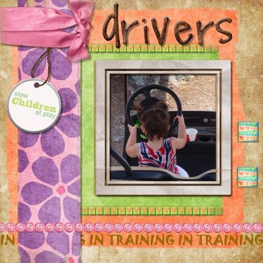 Driver&#039;s in Training