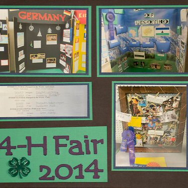 4-H Fair 2014