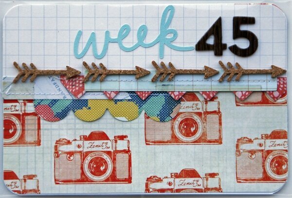 Project Life: Week 45