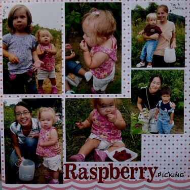 Raspberry Picking