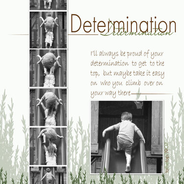 Determination