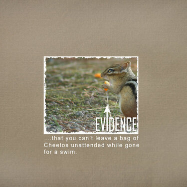 evidence.