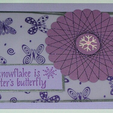 Winter&#039;s Butterfly