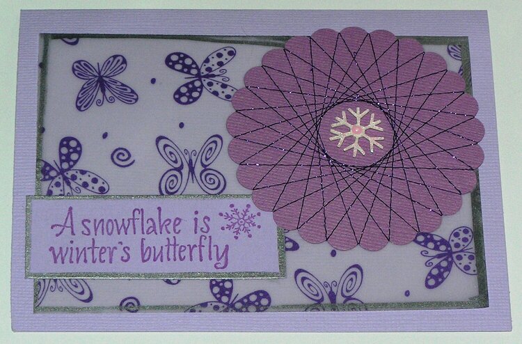 Winter&#039;s Butterfly