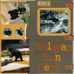Malayan Sun Bear - closed