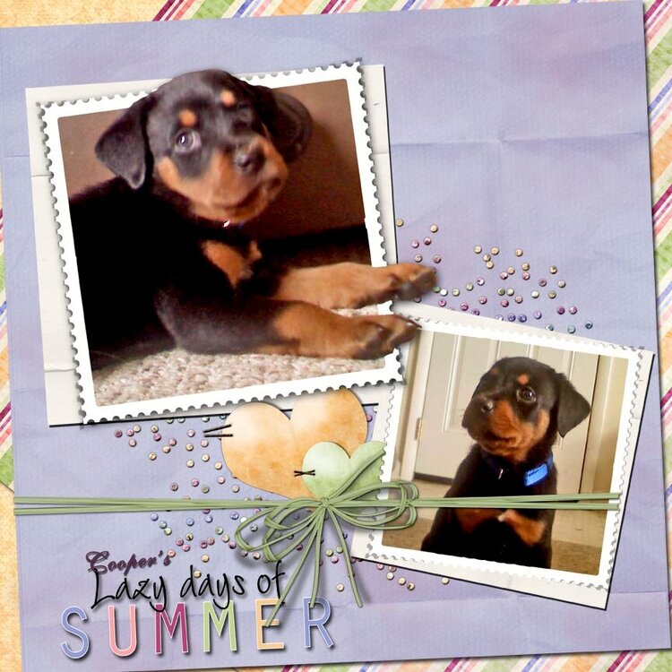 Lazy Summer