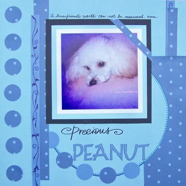 Precious Peanut