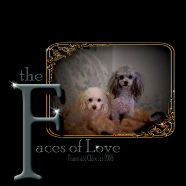 the Faces of Love