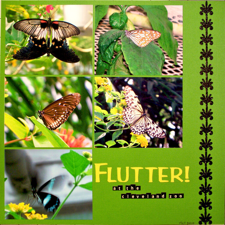 Flutter!