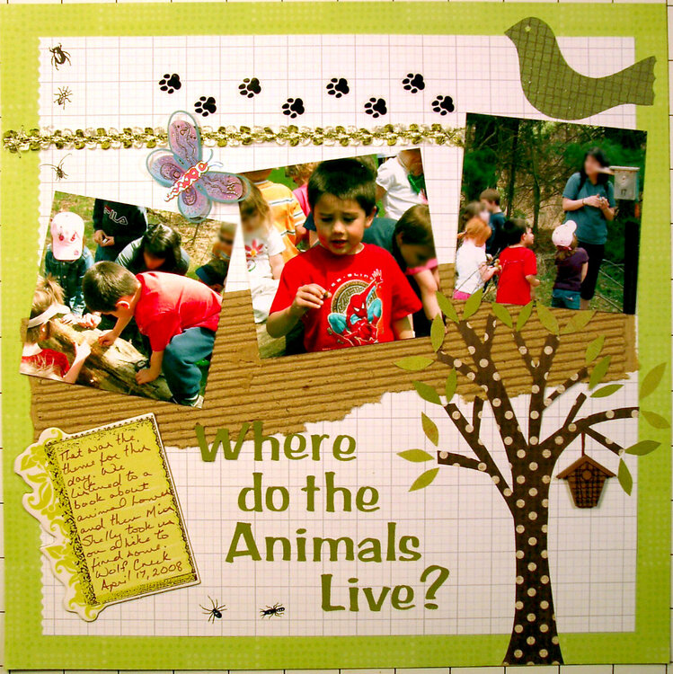Where do the Animals Live?
