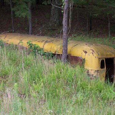 July 17: Buried Bus side view