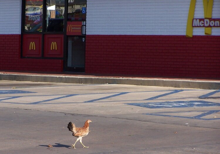 9/1: Chicken at McDonald&#039;s