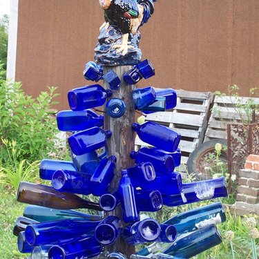 July 4: blue bottle tree