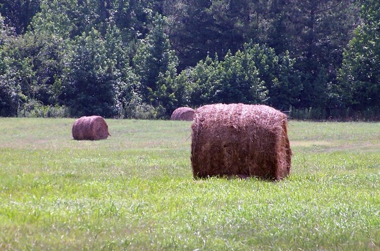 July 5 {Favorite things}: Hay bales