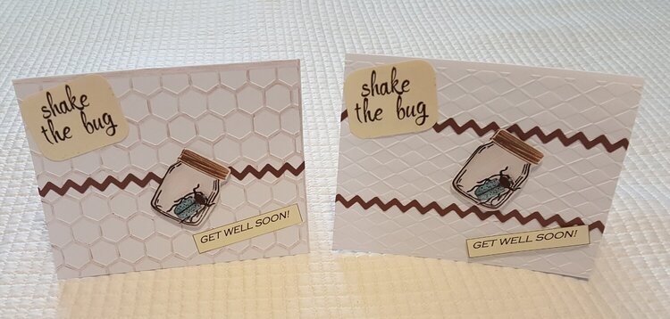 2 x Shake The Bug Embossed Get Well Card