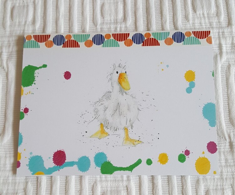 Shake It Off Duck Get Well Card