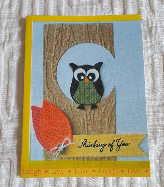 Thinking of You Owl Note Card