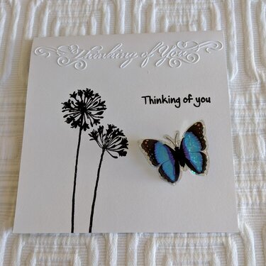 Thinking of You Dandelion Card