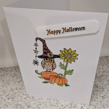 Happy Halloween Owl Witch &amp; Pumpkins Note Card