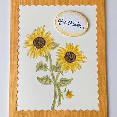 Give Thanks Sunflowers