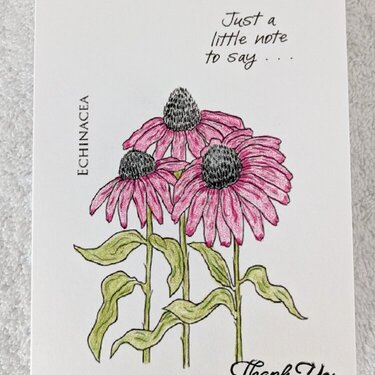 Just a little note to say...Thank You hand colored floral note cards