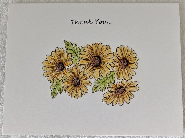 Hand Colored Floral Thank You Note Cards. Blank Inside