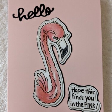 Friendly Animal Hello Cards