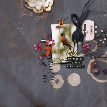 Metaphors: Bird&#039;s Nest by Studio PIX+ Prints 
