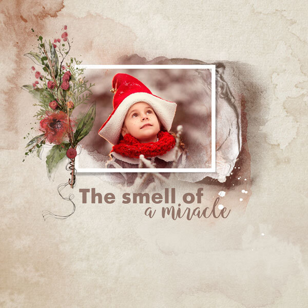 The Smell Of A Miracle~ Mini Collection plus FREE GIFT by Tiramisu design