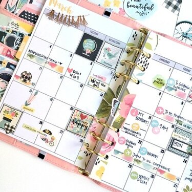 I AM a Planner Girl