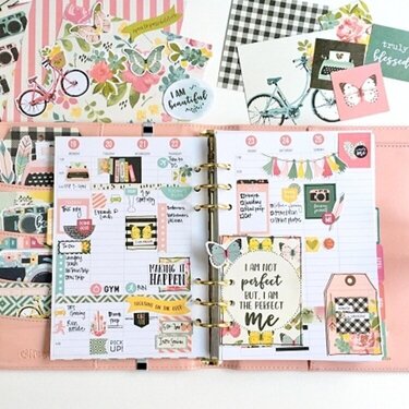 I AM a Planner Girl