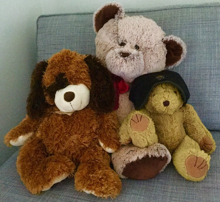 More photos of my bear family