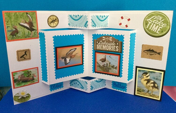 Pop Up Book Birthday Card for Elderly Male Nature Lover
