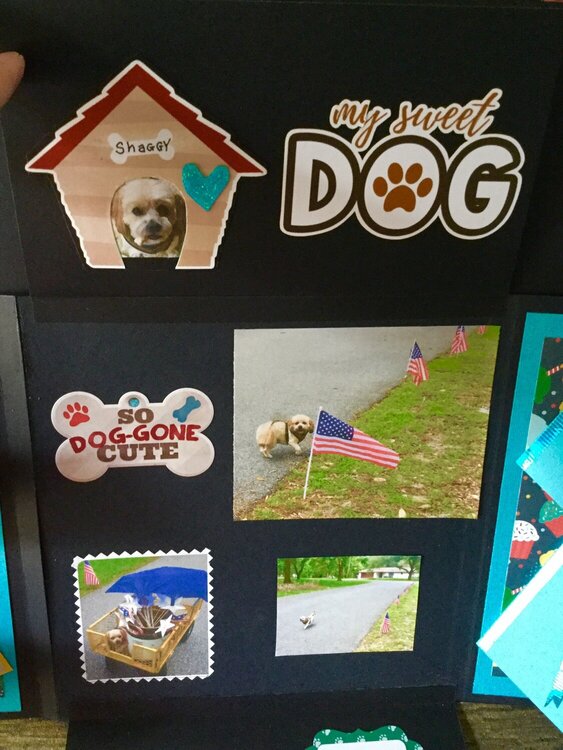 Hidden Dog Photos Birthday Card